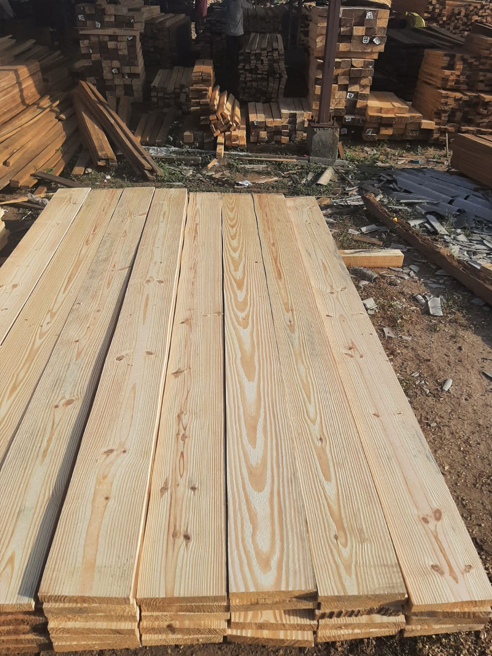 Southern Yellow Pine Sawn Timber - Kalpana Impex